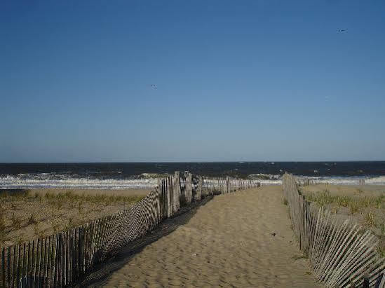 Surf Club Oceanfront Hotel Dewey Beach Eksteriør billede